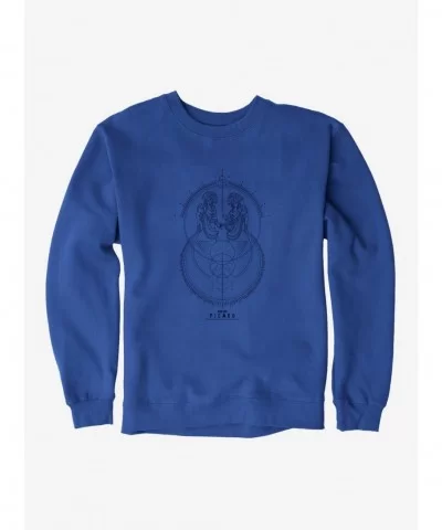 Exclusive Star Trek: Picard Graphic Sweatshirt $13.28 Sweatshirts